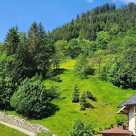 Leni`s Mountain Appartements-3